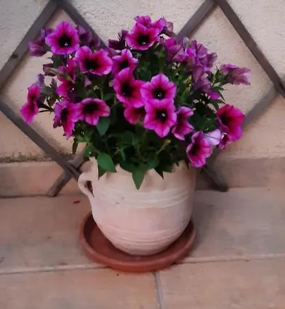 Bed & Breakfast Entula 'e Mari Bed&brakfast Tortoli
